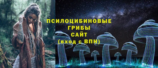 индика Абдулино