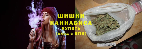 бошки Няндома