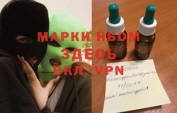 стафф Новозыбков