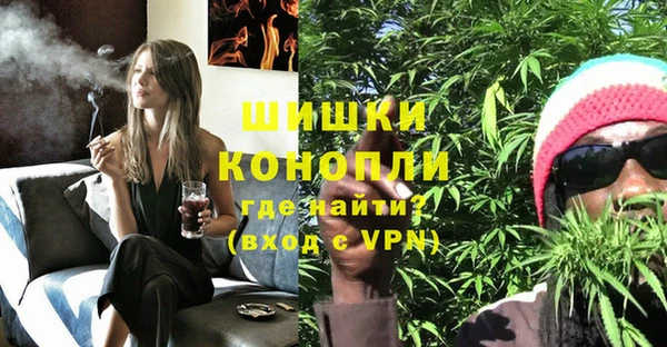 винт Абаза