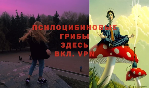 винт Абаза