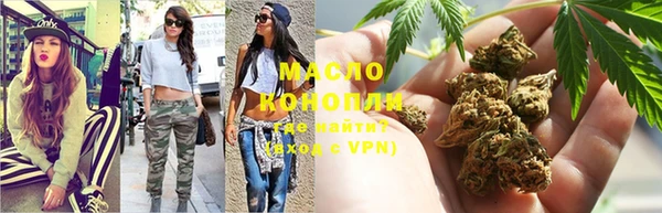 индика Абдулино